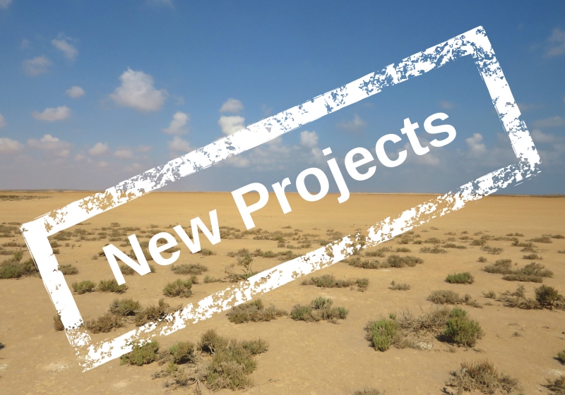 New Projects in Tunisia