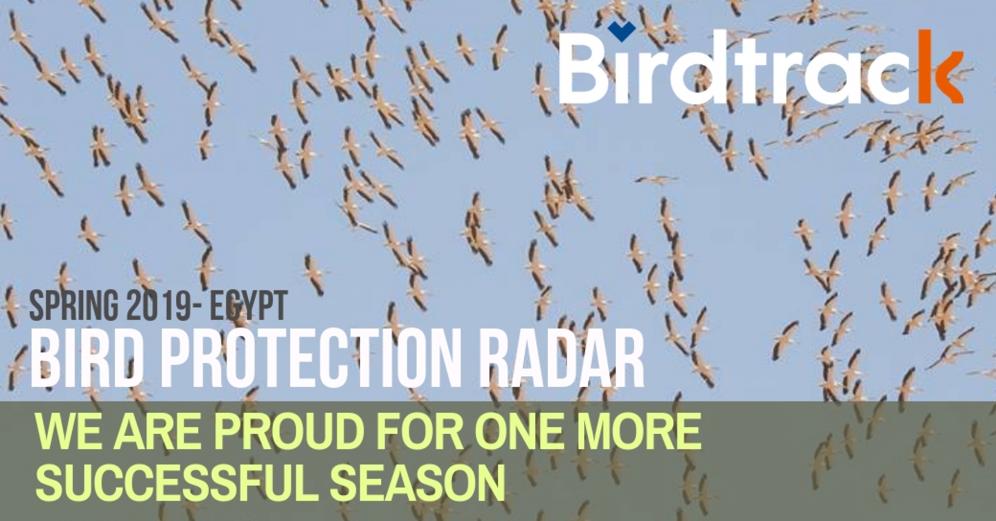 Birdtrack Campaign Successfully Completed